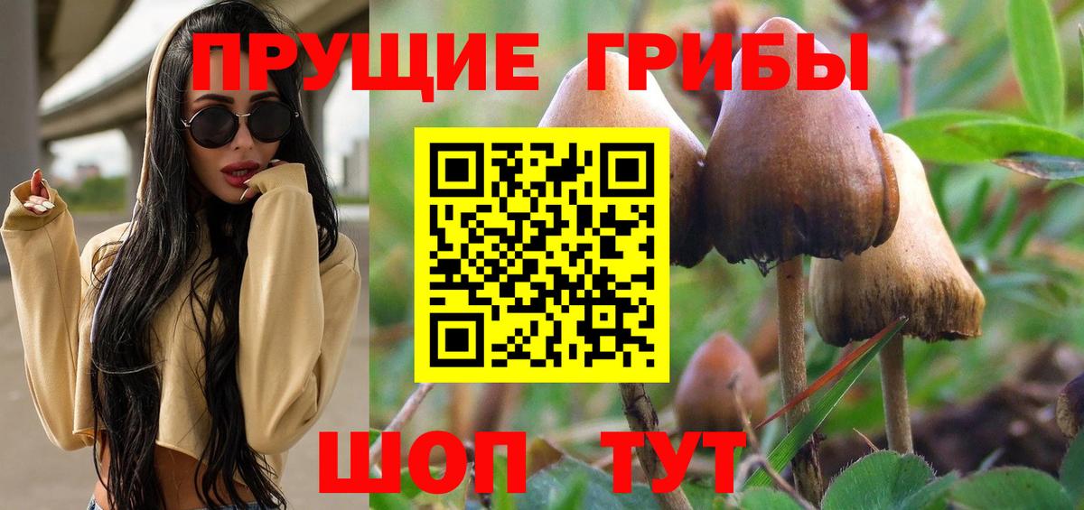 Галлюциногенные грибы прущие грибы Сафоново